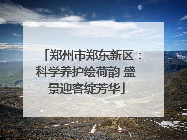 郑州市郑东新区：科学养护绘荷韵 盛景迎客绽芳华