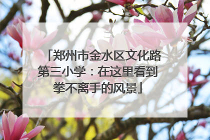 郑州市金水区文化路第三小学：在这里看到拳不离手的风景