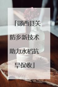 郧西县关防乡新技术助力水稻抗旱保收