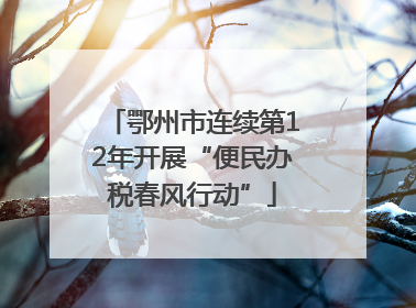 鄂州市连续第12年开展“便民办税春风行动”