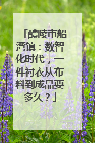 醴陵市船湾镇：数智化时代，一件衬衣从布料到成品要多久？