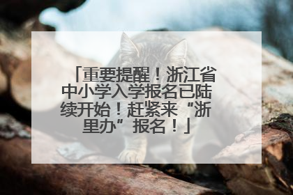 重要提醒！浙江省中小学入学报名已陆续开始！赶紧来“浙里办”报名！