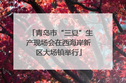 青岛市“三夏”生产现场会在西海岸新区大场镇举行