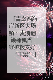 青岛西海岸新区大场镇：麦浪翻滚穗飘香 守护粮安好“丰景”