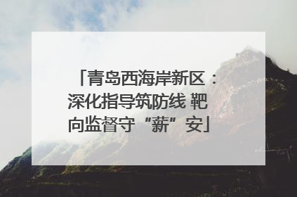青岛西海岸新区：深化指导筑防线 靶向监督守“薪”安
