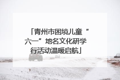 青州市困境儿童“六一”地名文化研学行活动温暖启航