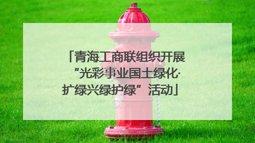 青海工商联组织开展“光彩事业国土绿化·扩绿兴绿护绿”活动