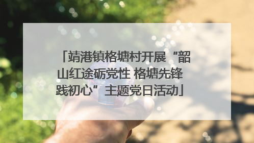 靖港镇格塘村开展“韶山红途砺党性 格塘先锋践初心”主题党日活动