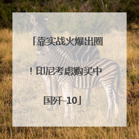 靠实战火爆出圈！印尼考虑购买中国歼-10