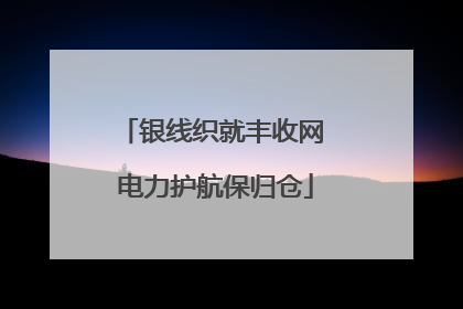银线织就丰收网 电力护航保归仓
