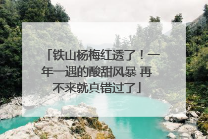 铁山杨梅红透了！一年一遇的酸甜风暴 再不来就真错过了