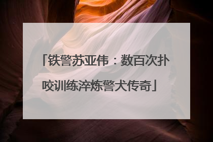 铁警苏亚伟：数百次扑咬训练淬炼警犬传奇
