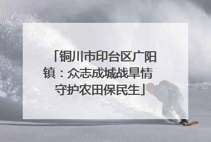 铜川市印台区广阳镇：众志成城战旱情 守护农田保民生