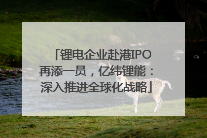 锂电企业赴港IPO再添一员，亿纬锂能：深入推进全球化战略