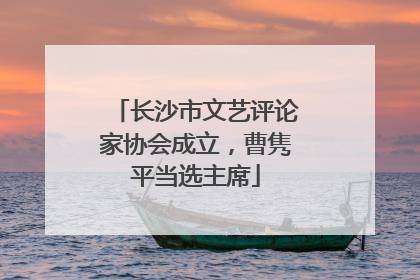 长沙市文艺评论家协会成立，曹隽平当选主席