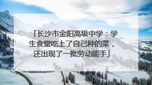 长沙市金阳高级中学：学生食堂吃上了自己种的菜，还出现了一批劳动能手