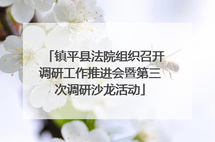 镇平县法院组织召开调研工作推进会暨第三次调研沙龙活动