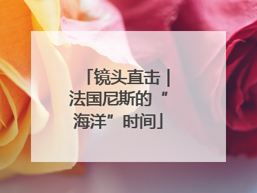 镜头直击｜法国尼斯的“海洋”时间