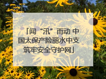 闻“汛”而动 中国太保产险丽水中支筑牢安全守护网