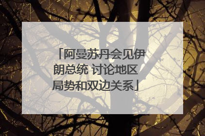 阿曼苏丹会见伊朗总统 讨论地区局势和双边关系
