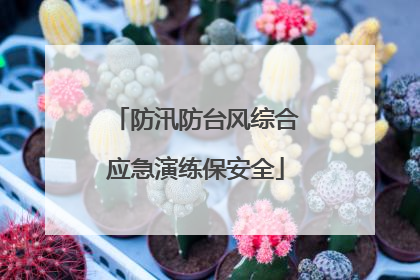 防汛防台风综合应急演练保安全