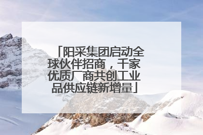 阳采集团启动全球伙伴招商，千家优质厂商共创工业品供应链新增量