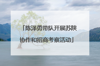 陈泽勇带队开展苏陕协作和招商考察活动