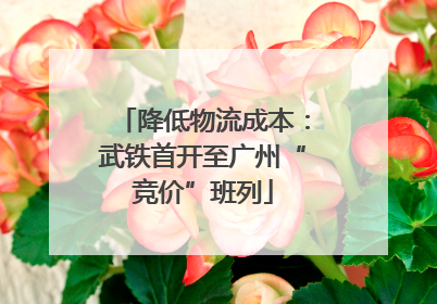 降低物流成本：武铁首开至广州“竞价”班列