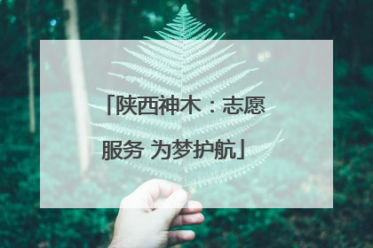 陕西神木：志愿服务 为梦护航