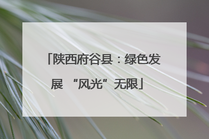 陕西府谷县：绿色发展 “风光”无限