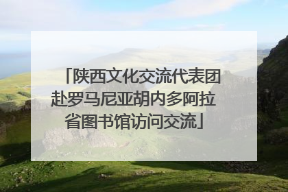 陕西文化交流代表团赴罗马尼亚胡内多阿拉省图书馆访问交流
