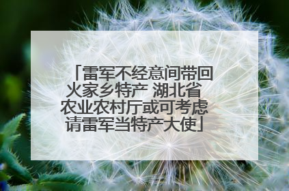 雷军不经意间带回火家乡特产 湖北省农业农村厅或可考虑请雷军当特产大使