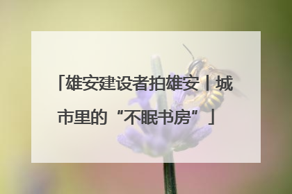 雄安建设者拍雄安丨城市里的“不眠书房”