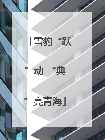 雪豹“跃”动 “典”亮青海