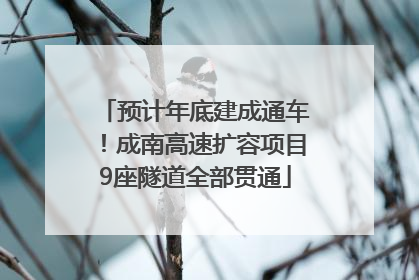 预计年底建成通车！成南高速扩容项目9座隧道全部贯通