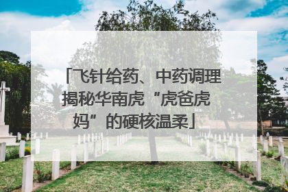 飞针给药、中药调理 揭秘华南虎“虎爸虎妈”的硬核温柔