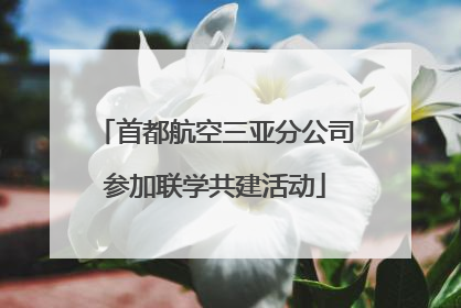 首都航空三亚分公司参加联学共建活动