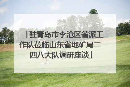 驻青岛市李沧区省派工作队莅临山东省地矿局二四八大队调研座谈