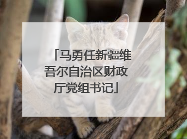 马勇任新疆维吾尔自治区财政厅党组书记
