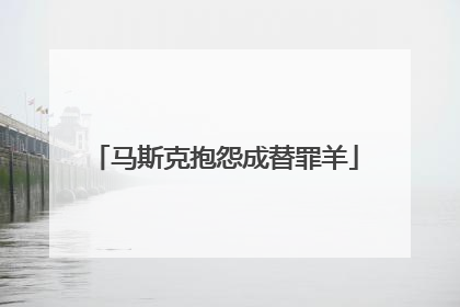 马斯克抱怨成替罪羊