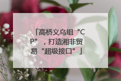 高桥义乌组“CP”，打造湘非贸易“超级接口”