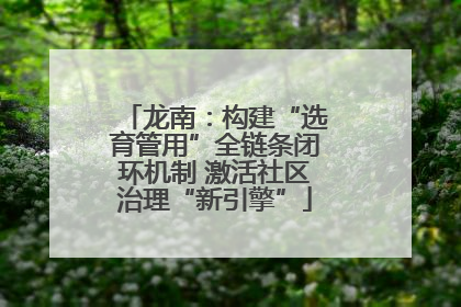 龙南：构建“选育管用”全链条闭环机制 激活社区治理“新引擎”