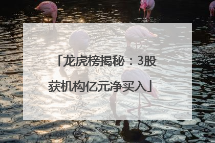 龙虎榜揭秘：3股获机构亿元净买入