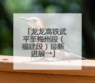 龙龙高铁武平至梅州段（福建段）最新进展→