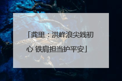 龚里：洪峰浪尖践初心 铁肩担当护平安