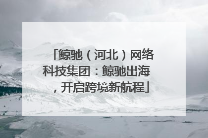 鲸驰（河北）网络科技集团：鲸驰出海，开启跨境新航程