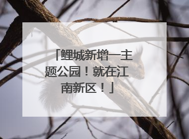 鲤城新增一主题公园！就在江南新区！