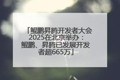 鲲鹏昇腾开发者大会2025在北京举办：鲲鹏、昇腾已发展开发者超665万