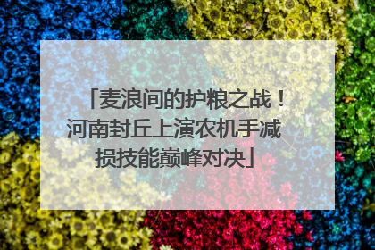 麦浪间的护粮之战！河南封丘上演农机手减损技能巅峰对决