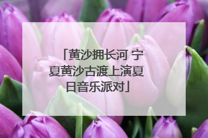 黄沙拥长河 宁夏黄沙古渡上演夏日音乐派对